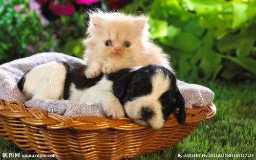 鲿1.97ԪοѵԱϵԱϸɲ