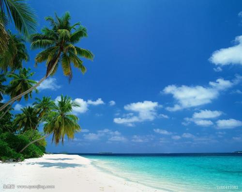 й½ϳƫ ȫůorȫ䣿